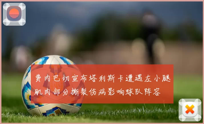 费内巴切宣布塔利斯卡遭遇左小腿肌肉部分撕裂伤病影响球队阵容
